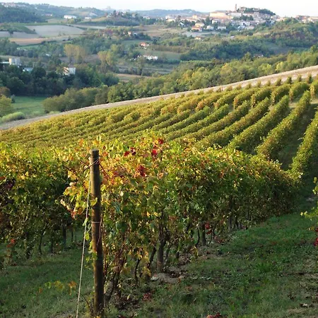 La Commedia Della Pentola * Lu
