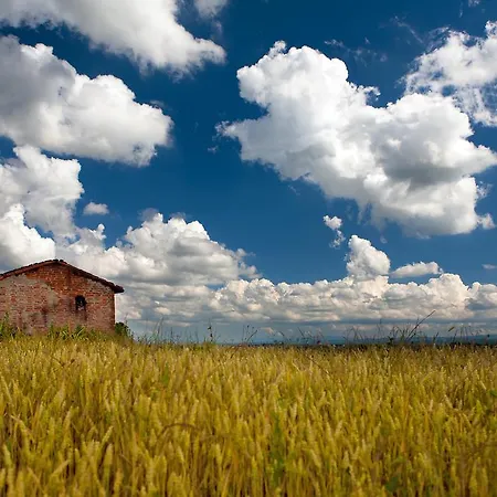 La Commedia Della Pentola *